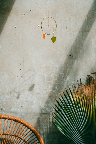 Pothos Hanging Mobile: Poppy