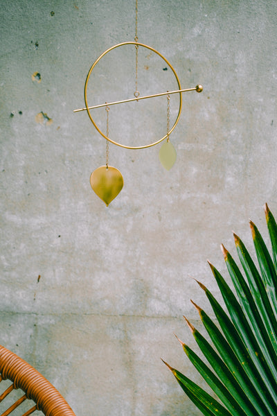 Pothos Hanging Mobile: Kiwi