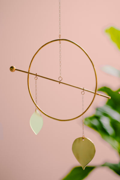 Pothos Hanging Mobile: Kiwi