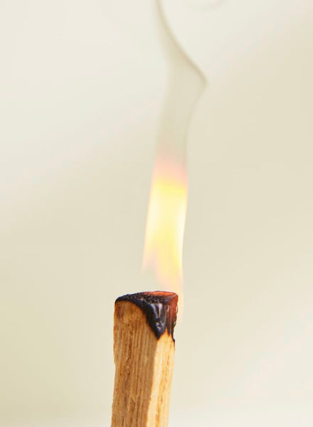 Palo Santo Stick