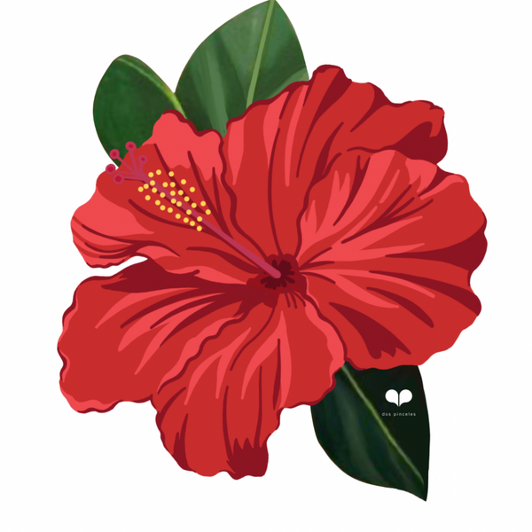 Amapola Sticker